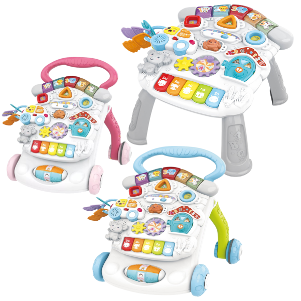 Antepremergator Centru de activitati Premergator Multifunctional