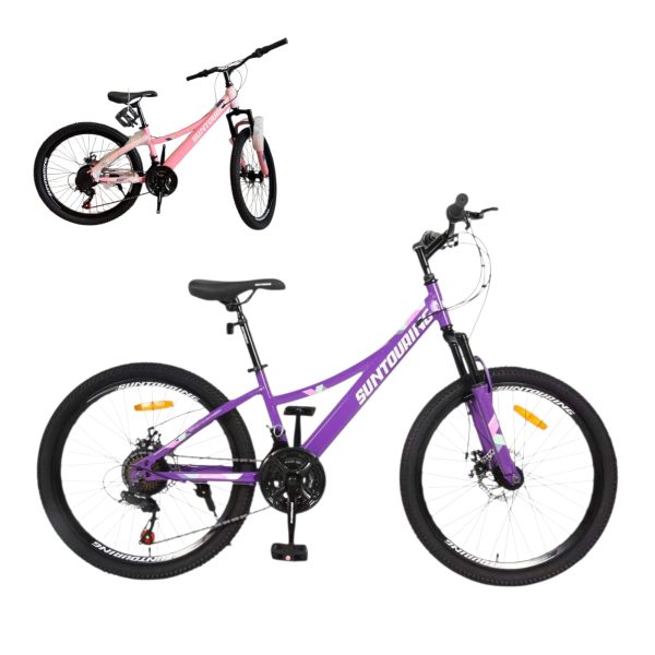 Bicicleta 24 Inch Mountain Bike cu Frane pe Disc si Viteze