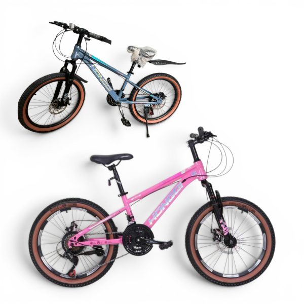 Bicicleta Copii Mountain Bike 22 Inch cu Frane pe Disc si 21 Viteze