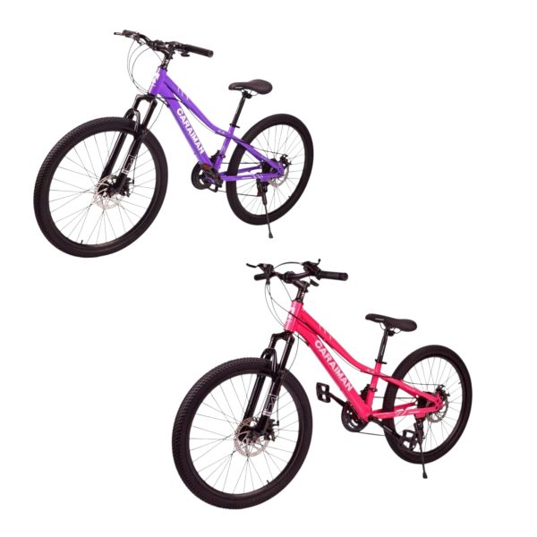 Bicicleta pentru Fete 24 Inch cu Viteze Frana pe Disc si Suspensii