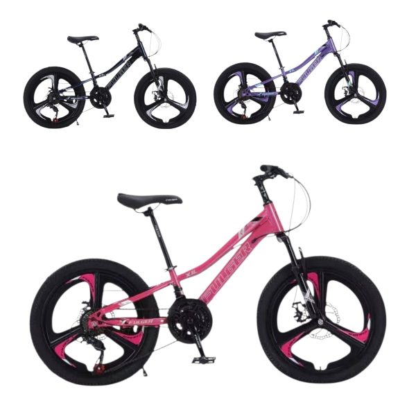 Bicicleta pentru Copii 20 Inch cu Frana pe Disc si Suspensii
