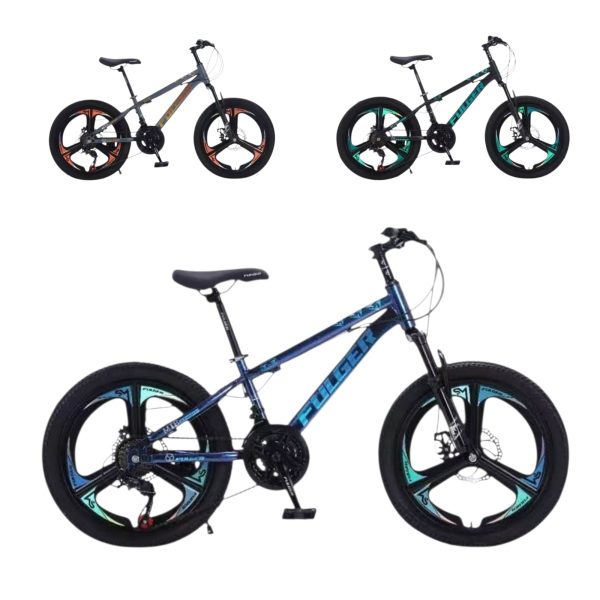 Bicicleta pentru Copii cu Frana pe Disc si Suspensii 20 Inch